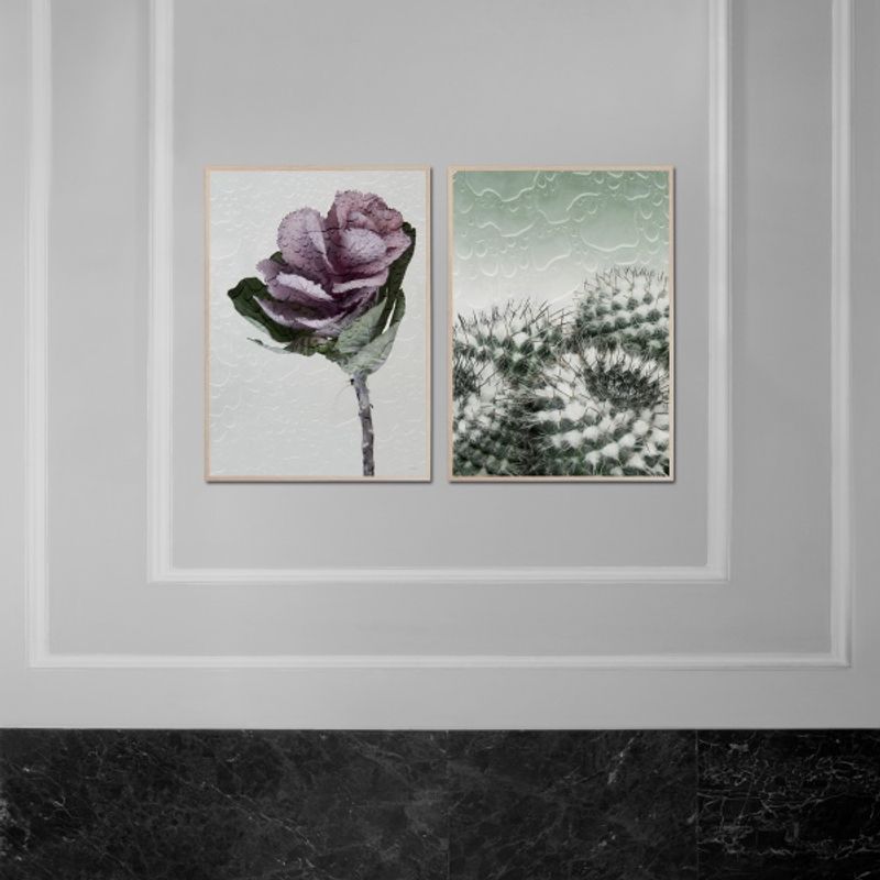 ChiCura PhotoArt Conserve H2O 50x70